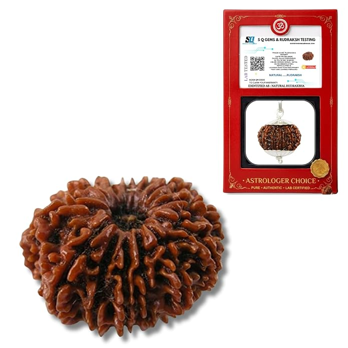 12 Mukhi Rudraksha Original Certified Pendant with Silver Capping, Nepali Rudraksh