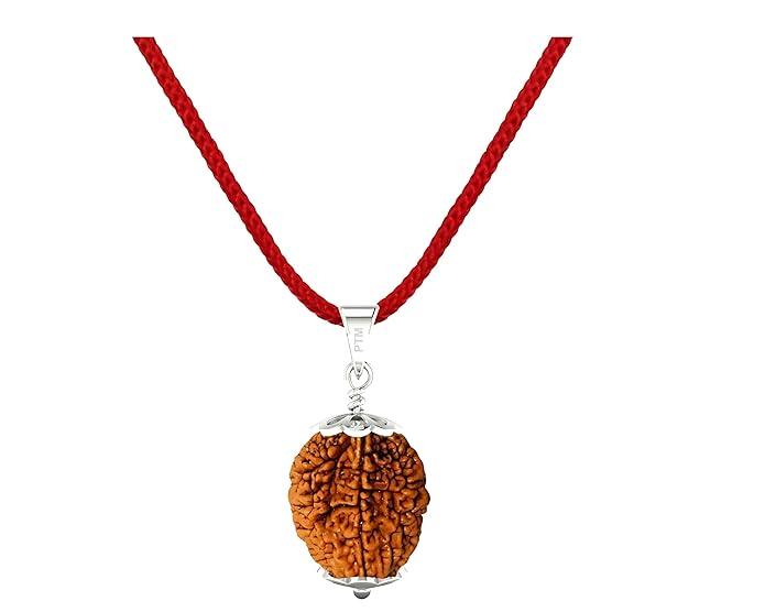 PTM 2 Mukhi Certified Natural Nepali Rudraksha 925 BIS Hallmark Sterling Silver Cap Pendant