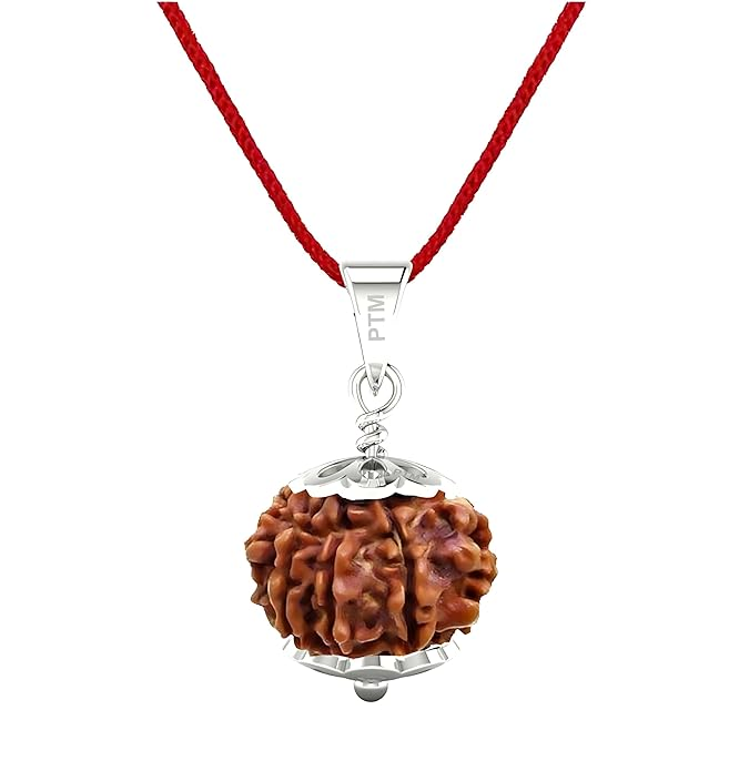 PTM 6 Mukhi Certified Natural Nepali Rudraksha 925 BIS Hallmark Sterling Silver Cap Pendant