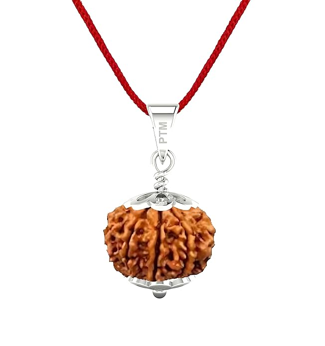 PTM 9 Mukhi Certified Natural Nepali Rudraksha 925 BIS Hallmark Sterling Silver Cap Pendant